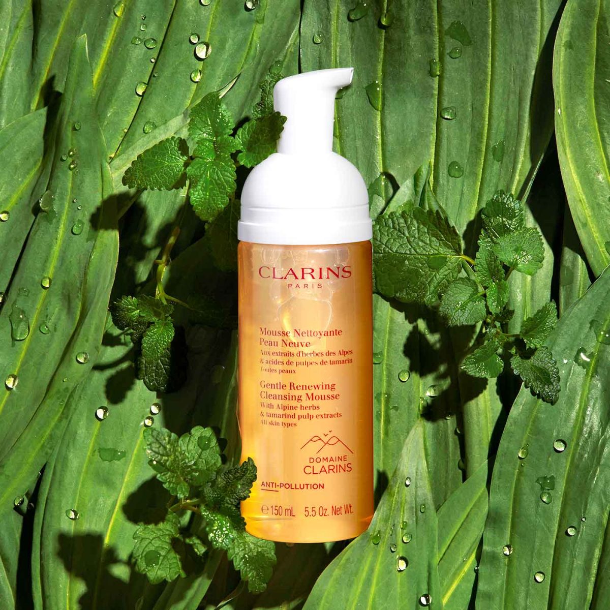 CLARINS Gentle Renewing Cleansing Mousse - Image 4
