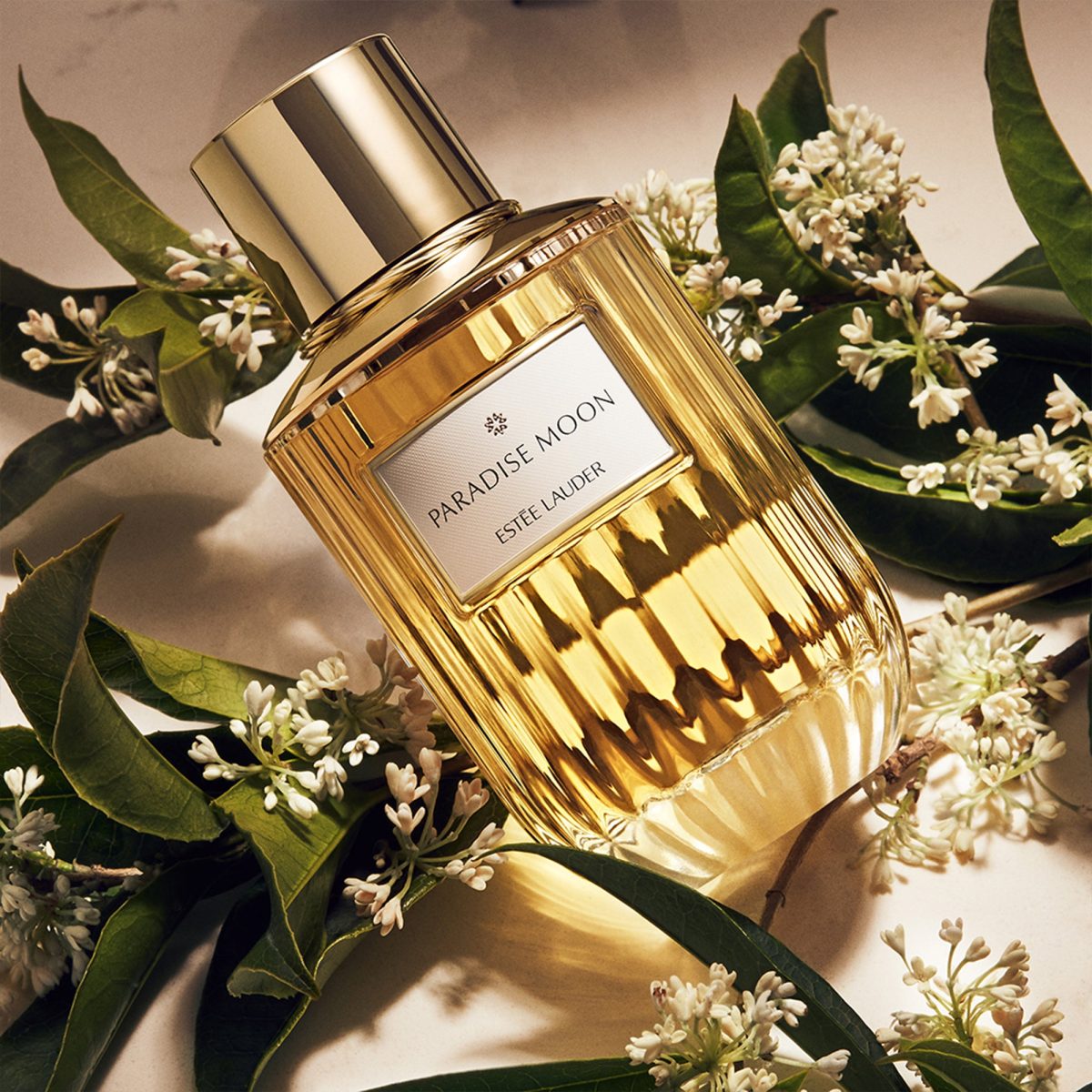 ESTEE LAUDER Paradise Moon Edp 100ml - Image 2