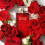 ELIZABETH ARDEN Red Door Ladies EDT 100ml - Image 3