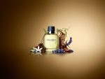 DOLCE & GABBANA  Pour Homme EDT 75ml - Image 3