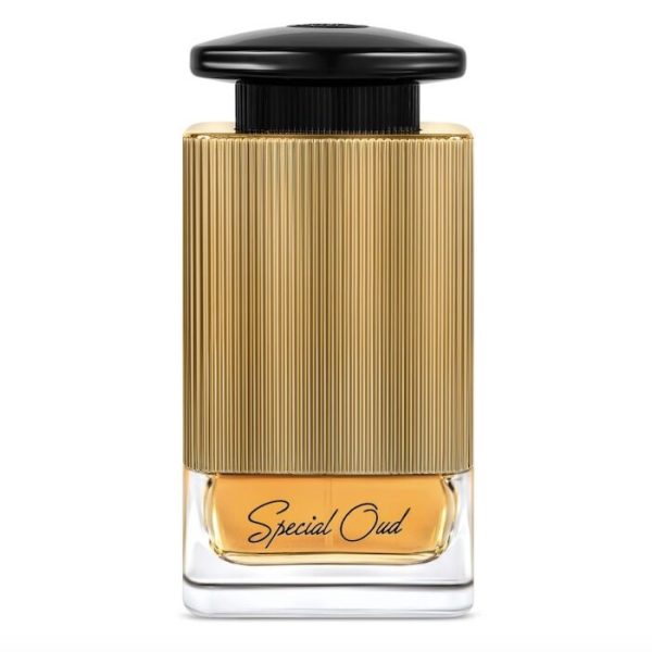 FA Paris Special Oud Eau De Parfum 100ml Unisex