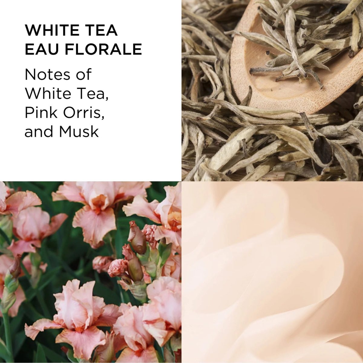 ELIZABETH ARDEN White Tea  Eau Florale EDT 100ml - Image 3