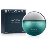 Bvlgari Aqva Pour Homme EDT 100ml For Men